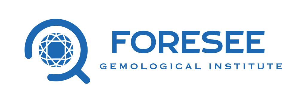 Foresee Lab